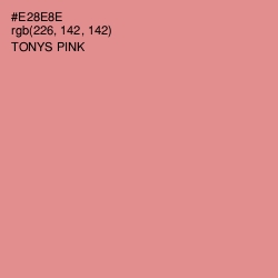 #E28E8E - Tonys Pink Color Image